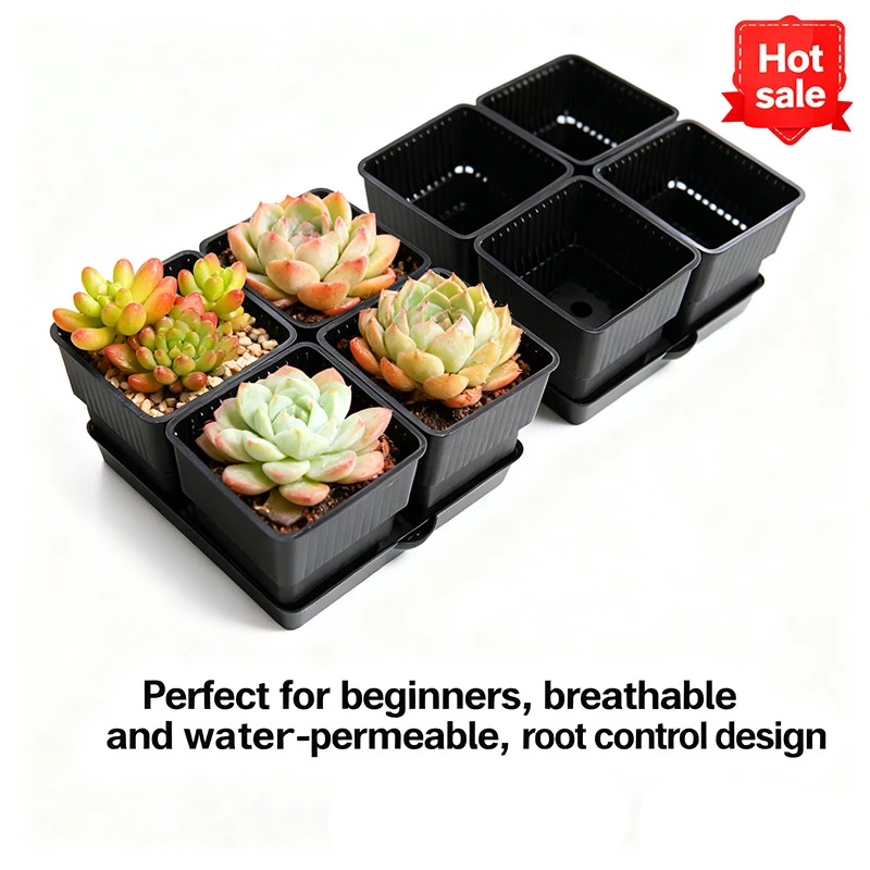 أصيص شبكي أسود قابل للتنفس وصديق للصرف، أوعية عصارية لزراعة الصبار - مثالي للمبتدئين