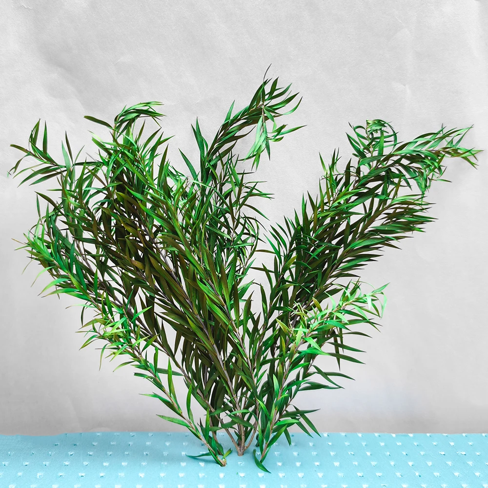 Simulatie Lange Bladeren Riet Gras Cluster Model Gras Vegetatie Bush Terrein Materialen Voor Micro Landschap DIY Accessoires 1Doos