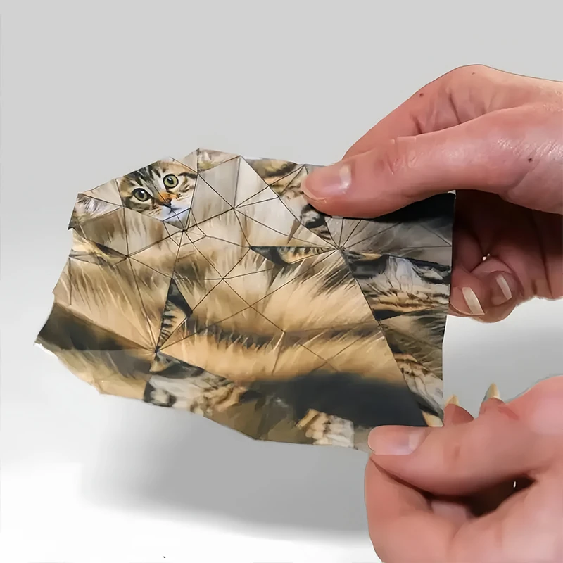 DIY Origami-Set für Katzen, Hunde und Dinosaurier, 50 Blatt DIY-Papier zum Falten Niedlicher Katzenfiguren, Vorgedruckte Blätter, Schreibtisch-Deko Geschenk für Tierliebhaber – Detail 5
