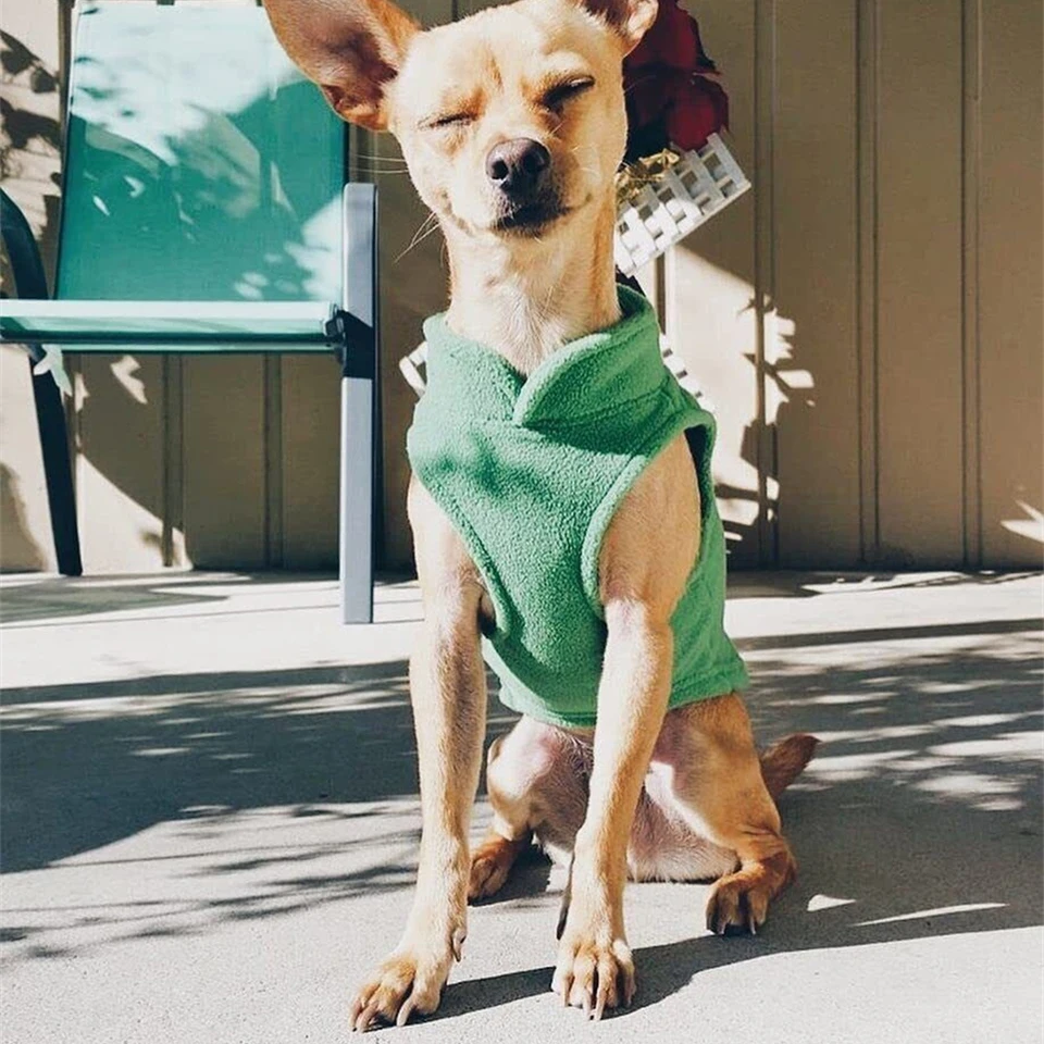 Ranphy Gevlochten Fleece Sweater Voor Kleine Honden En Katten - Mouwloos Vest Met Riemring - Zwart, XS - Voor Yorkie, Chihuahua En Andere Kleine Rassen