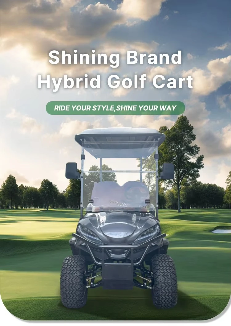 lsv 6 Seater Luxury Hybrid Golf Cart Road Electric Golf Buggy Street Legal Certification 90km Range 30-50km/h Max Speed