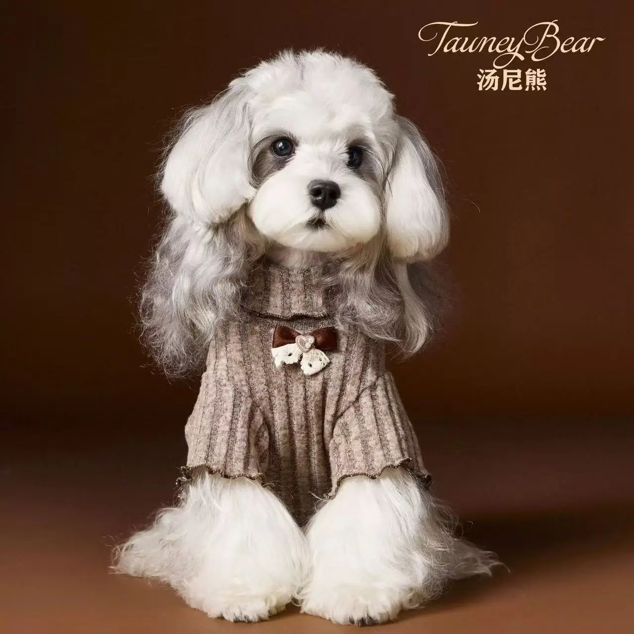 Autumn And Winter D… - image