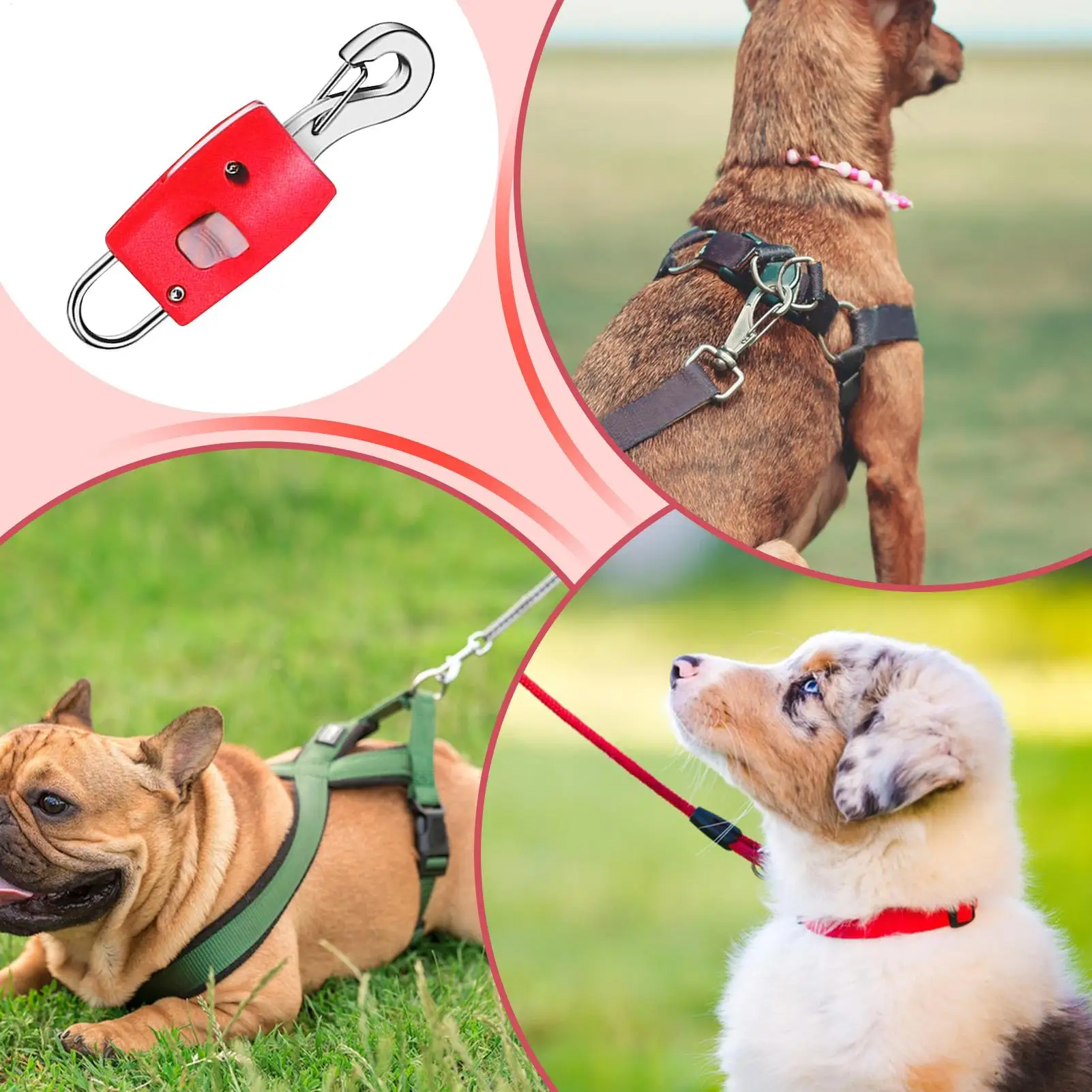 الكلب حبل السلامة هوك الإفراج السريع الحيوانات الأليفة حبل موصل مشبك مستلزمات الحيوانات الأليفة تسخير موصل للفناء الخلفي نزهة حديقة المنتهية ولايته