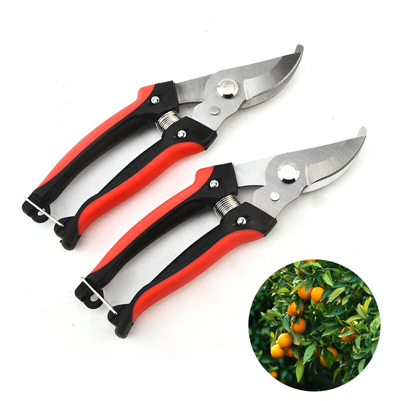 Professional Garden… - image