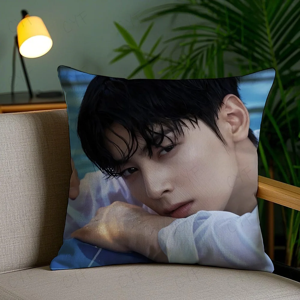 Kpop Singer Cha E-Eun W-Woo Pillow Case Anti-dustmite Pillowcase Invisible zipper silky short plush Sofa cushion cover