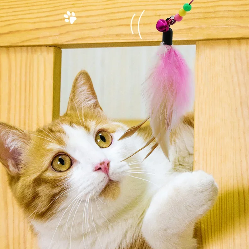 Interactive Wire Feather Cat Teaser Stick Fun Pet Toy for Kittens Entertaining Bell Feather Fish Wand Playful Cat Accessories