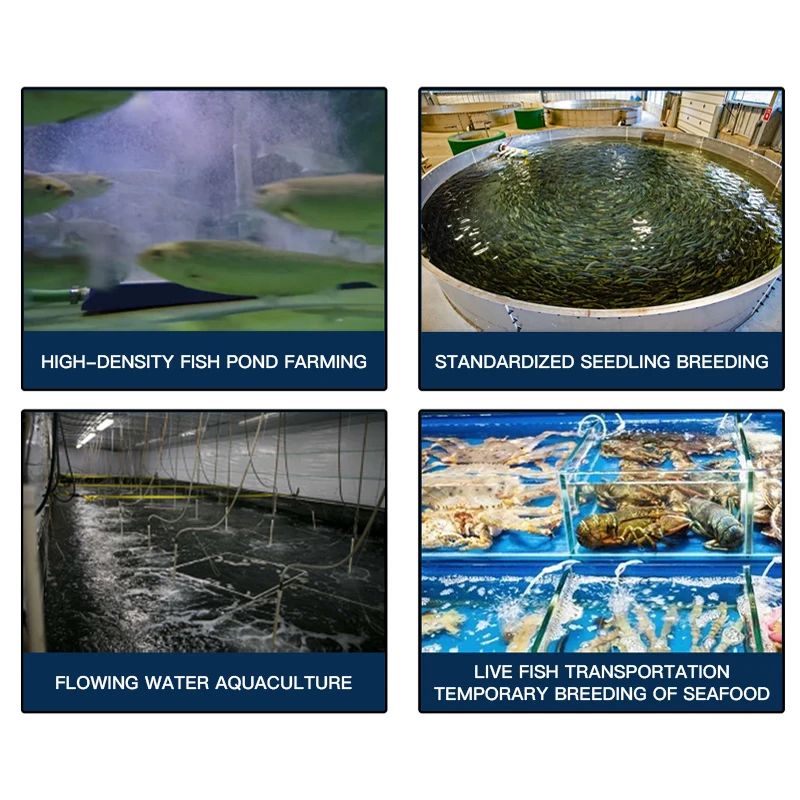 Aquaculture Ceramic Plate, Micro Nano Bubble Diffuser Aerator, 1 Year Warranty, Shrimp Farming, Fish Ponds, Oxygenator System