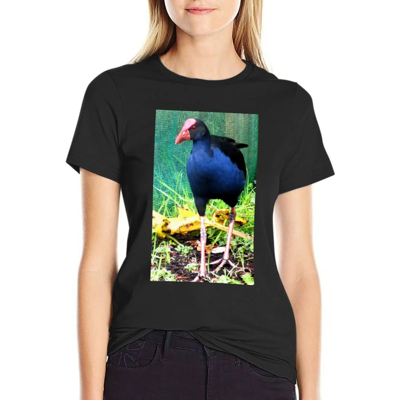 

Purple Swamp Hen New Zealand icon T-Shirt Aesthetic clothing summer tops oversized workout shirts for Women