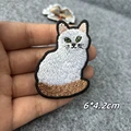 CUSTOM-0669