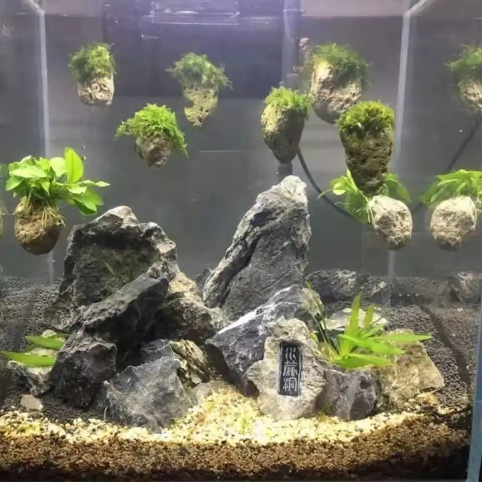 Suspended Stone with Moss for Fish Tank, Aquarium Decorative, Aquatic Plants Landscaping, Natural Avatar Effect with Rope