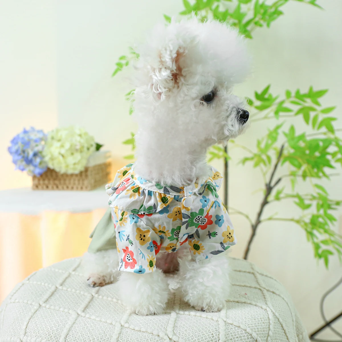 1PC Pet Clothing Cat Spring/Summer Thin High Waist Green Fragmented Flower Princess Dress Suitable for Small and Medium Dogs