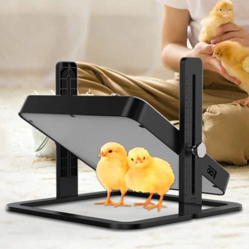 

Нагревательная панель для птицы с регулируемой температурой, термостатическая, для цыплят, обогреватель для мелких животных, тепловая пластина, товары для птицеводства