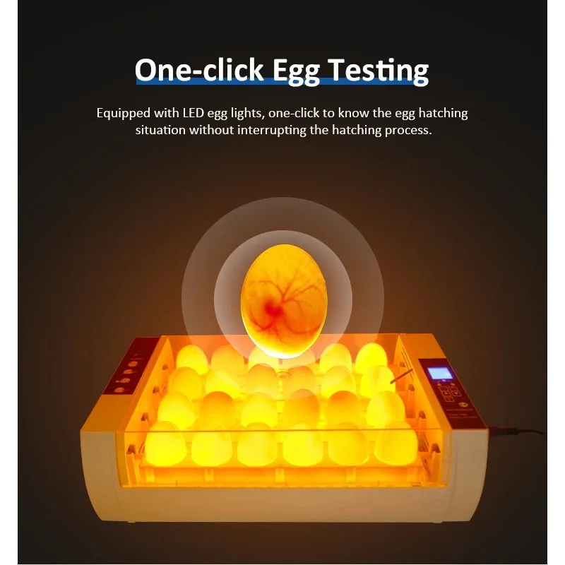 Vollautomatische Ausrüstung mit ROHS-Markierung, 24-Geflügelbrüter-Inkubator