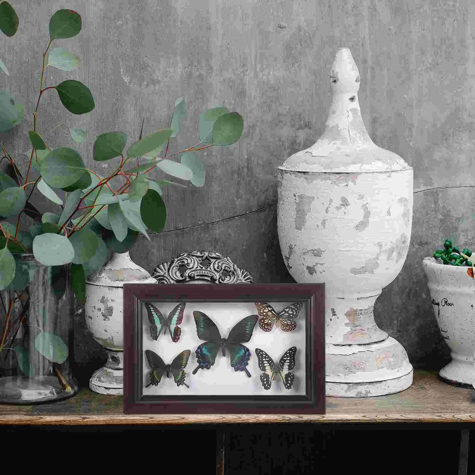 Wood Photo Display Frame With Butterfly Specimen Wall Butterflies Specimen Decoration specimen display frame