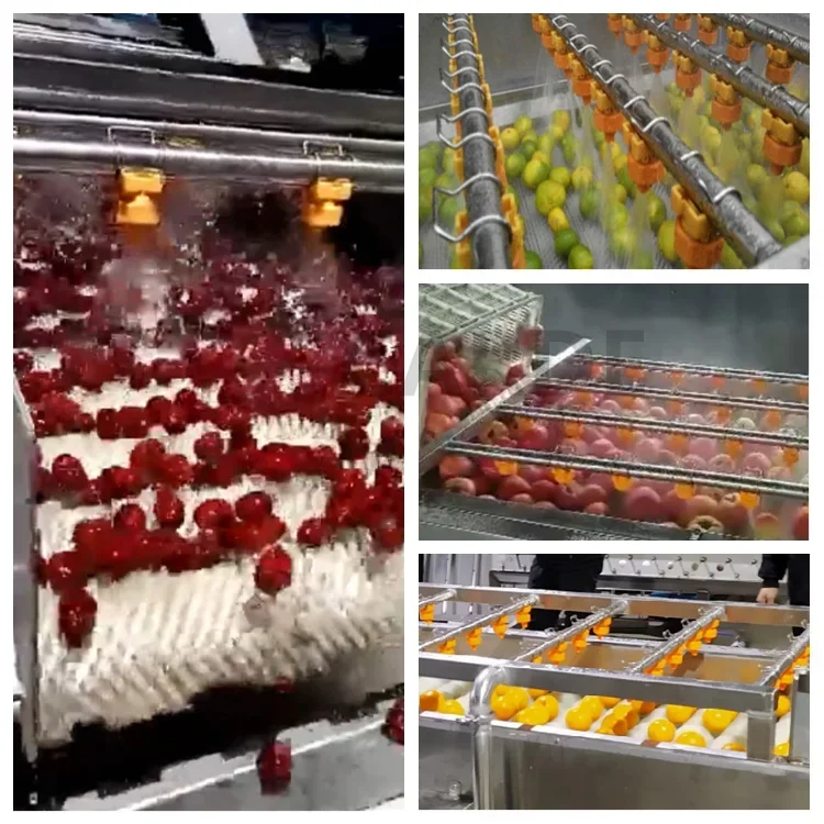 China industrial vegetable beet potato chips washing machine high capacity tomato potato brush citrus meat washer machine