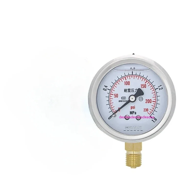 Supply YN60 Pressure Gauge High Precision Stainless Steel Hydraulic Hydraulic M14 * 1.5 Air Pressure Shockproof Pressure Gauge