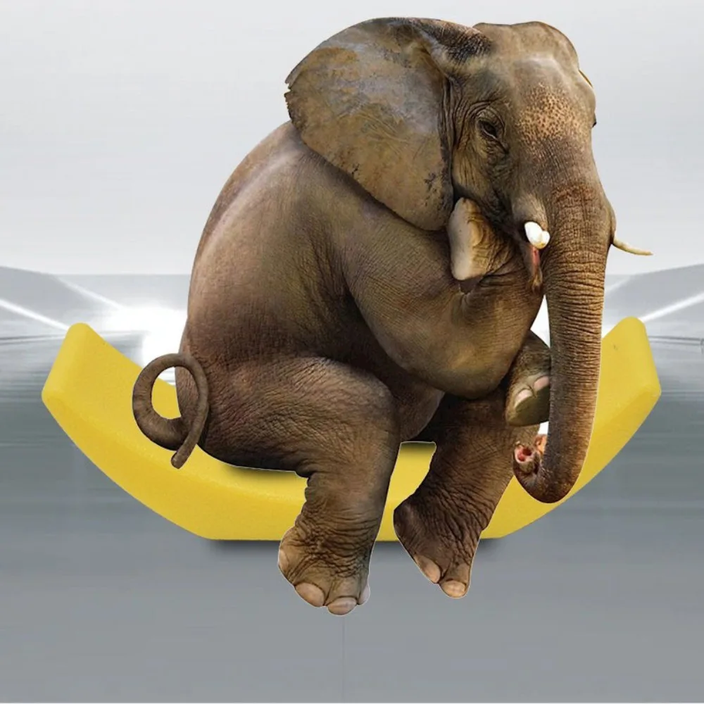 الأقواس الوزن جوفاء الدمبل السروج استبدال تخزين الدمبل رف دائم قوي الدمبل مهد قوس الصالة الرياضية