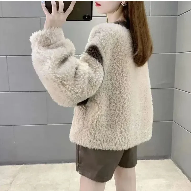 Schapen-Achtige Shearling Coat Vrouwen 2024 Winter Wew Korte Kleine Top Coat Imitatie Lamswol Korrelige Fleece Korte Jas