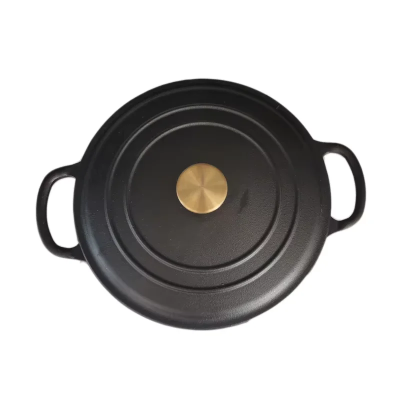 26cm Cast Iron Stew Pot with Lid Multifunction Cookware