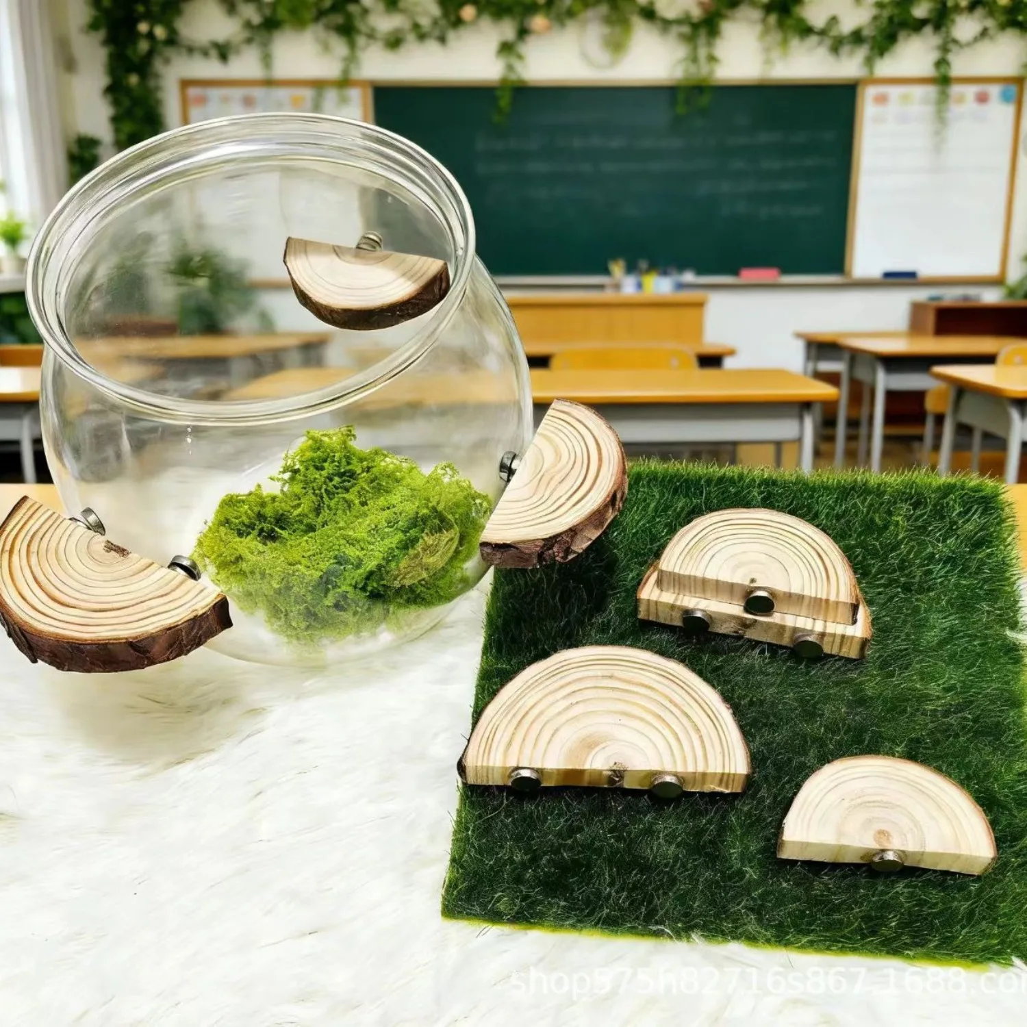 DIY Magnetic Acrylic Wall Platform Jumping Spider Terrarium Kit with Climbing Vines Habitat Decor for Small Reptiles, Amphibians
