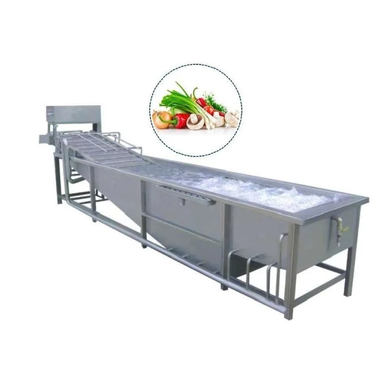 Industrial Hot Selling Bubble Washer for Seafood Shrimp Chilli Fruits Vegetables Processing Equipment Line Custom