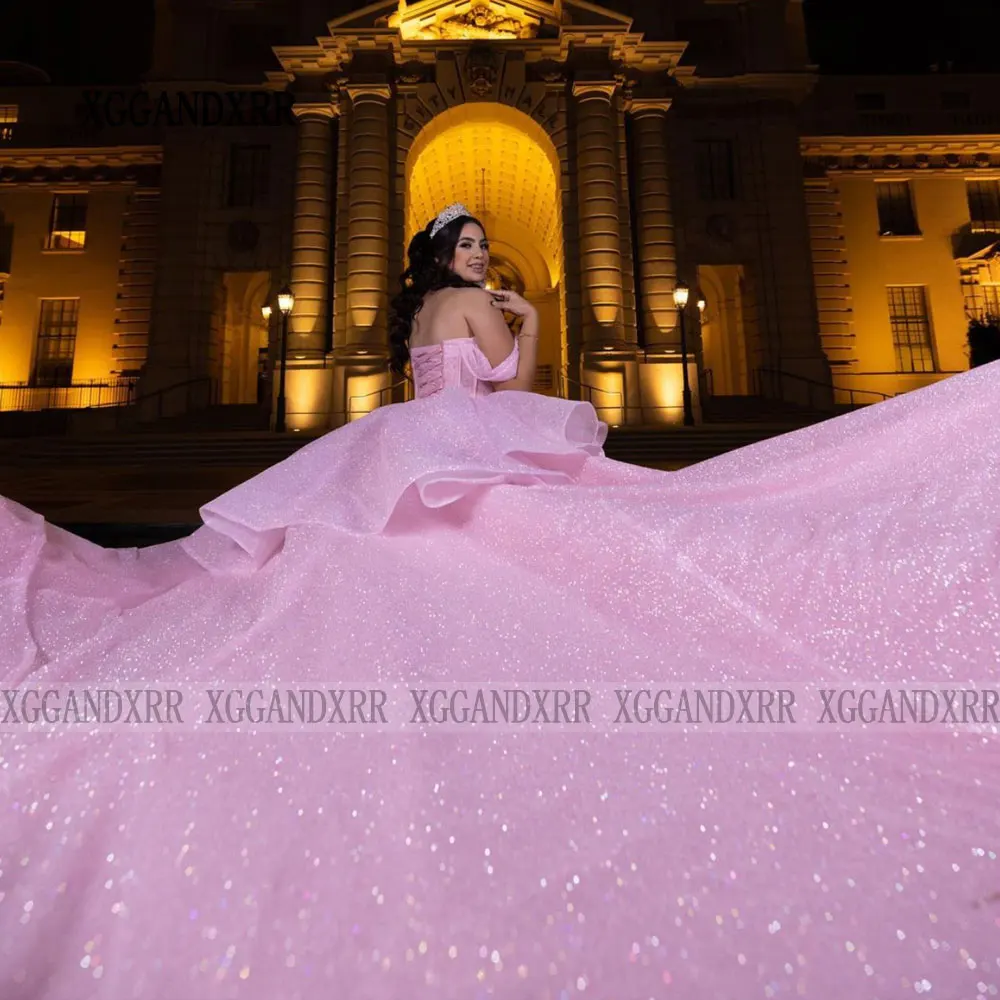 Elegant Pink Ball Gown Quinceanera Dress 2024 3D Floral Tulle Princess Sweet 16 Vestido De XV Años Brithday Party Gown Plus Size