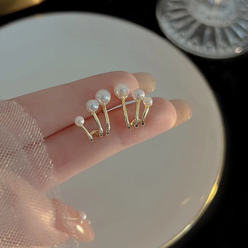 2024 Korean Fashion New Style Style Earrings Claw Pearl Light Luxury Earrings High End Design Sense Earrings For Women Geometric