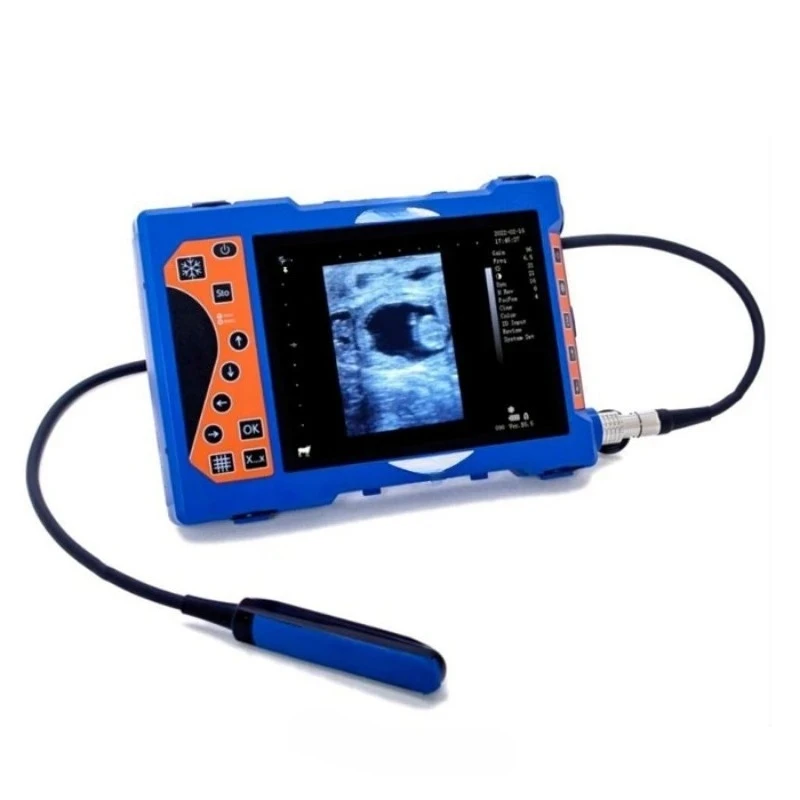 Popular portable veterinary ultrasound system for rapid diagnosis BXL-V50