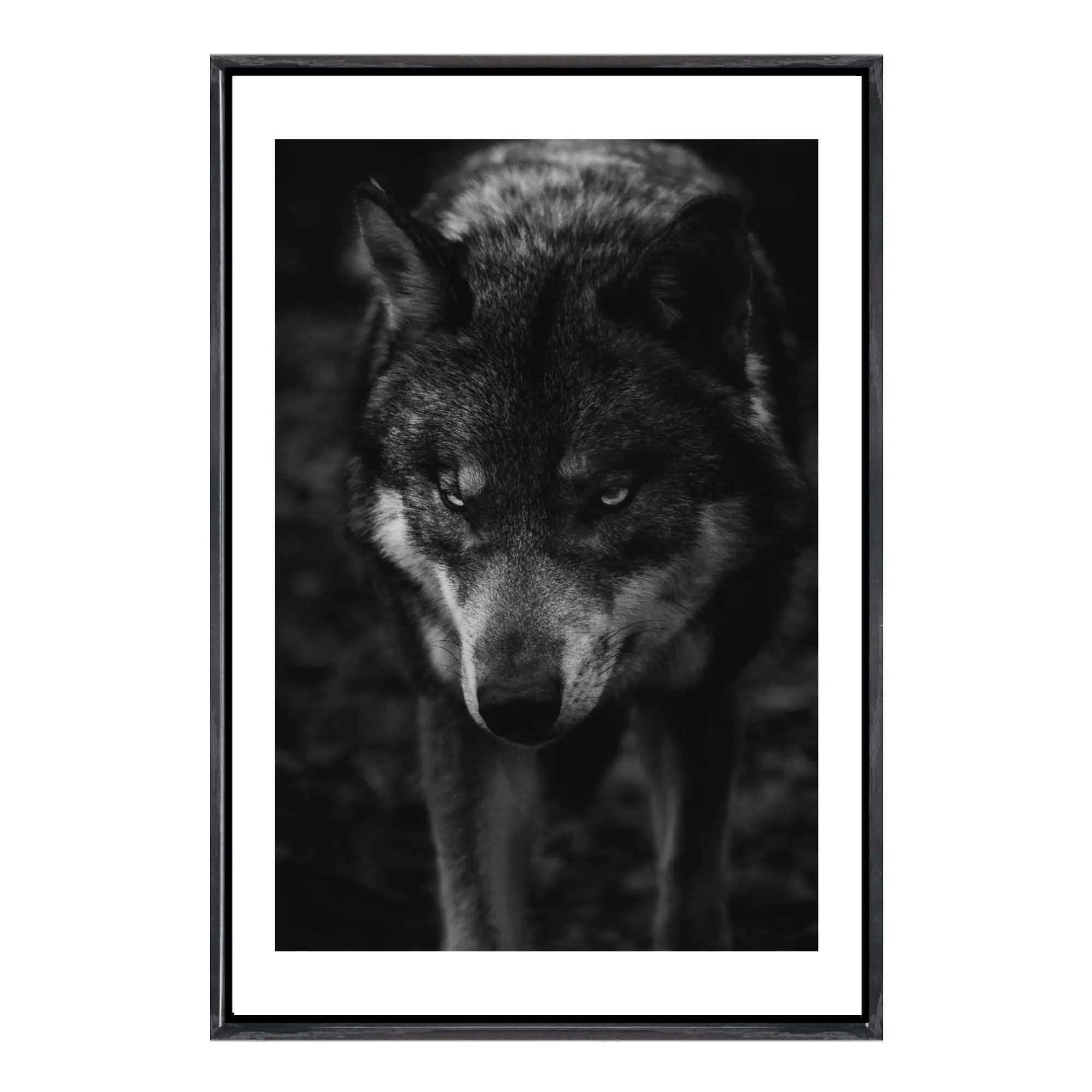 

Wolf Canvas Framed Wall Art Wildlife Animal Forest Nature Rustic Style Home Decor for Living Room Bedroom Office
