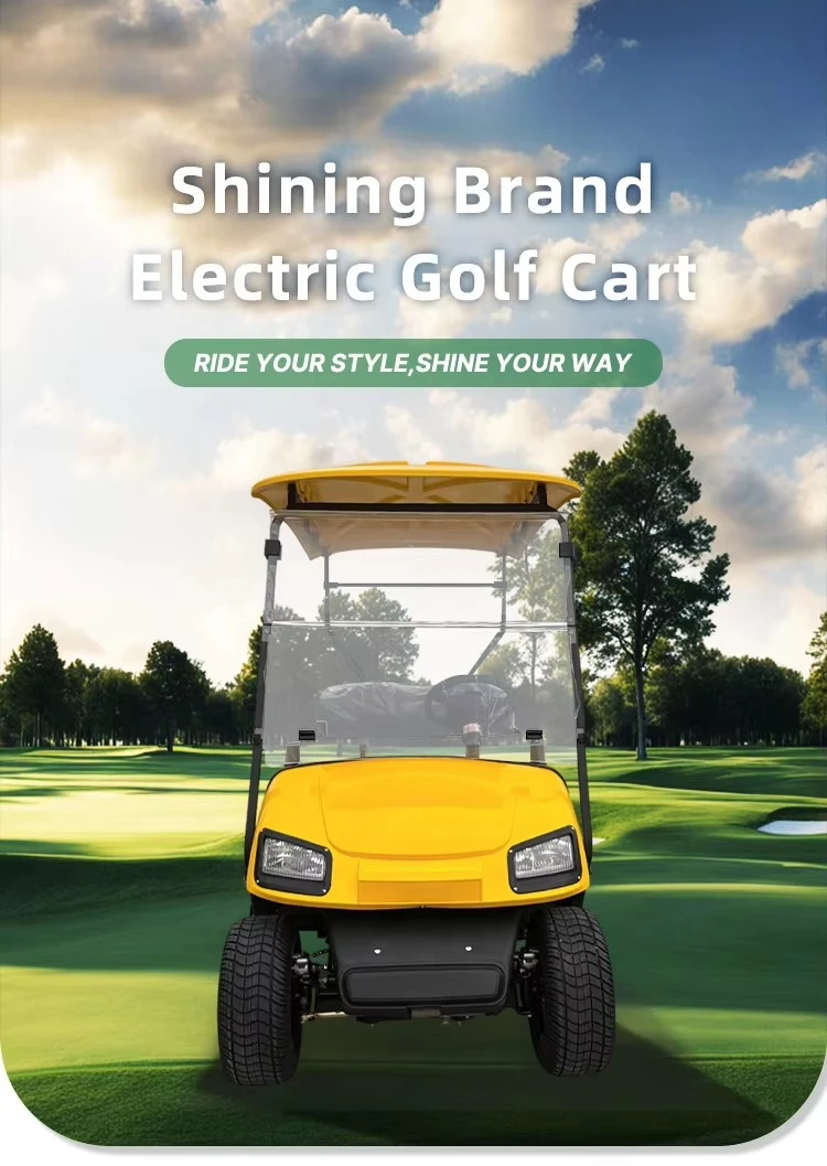 48 Volt Lithium Battery Electric Golf Cart 2 Seats Electronic Brake Street Legal One Year Warranty Custom Colors Metal Material