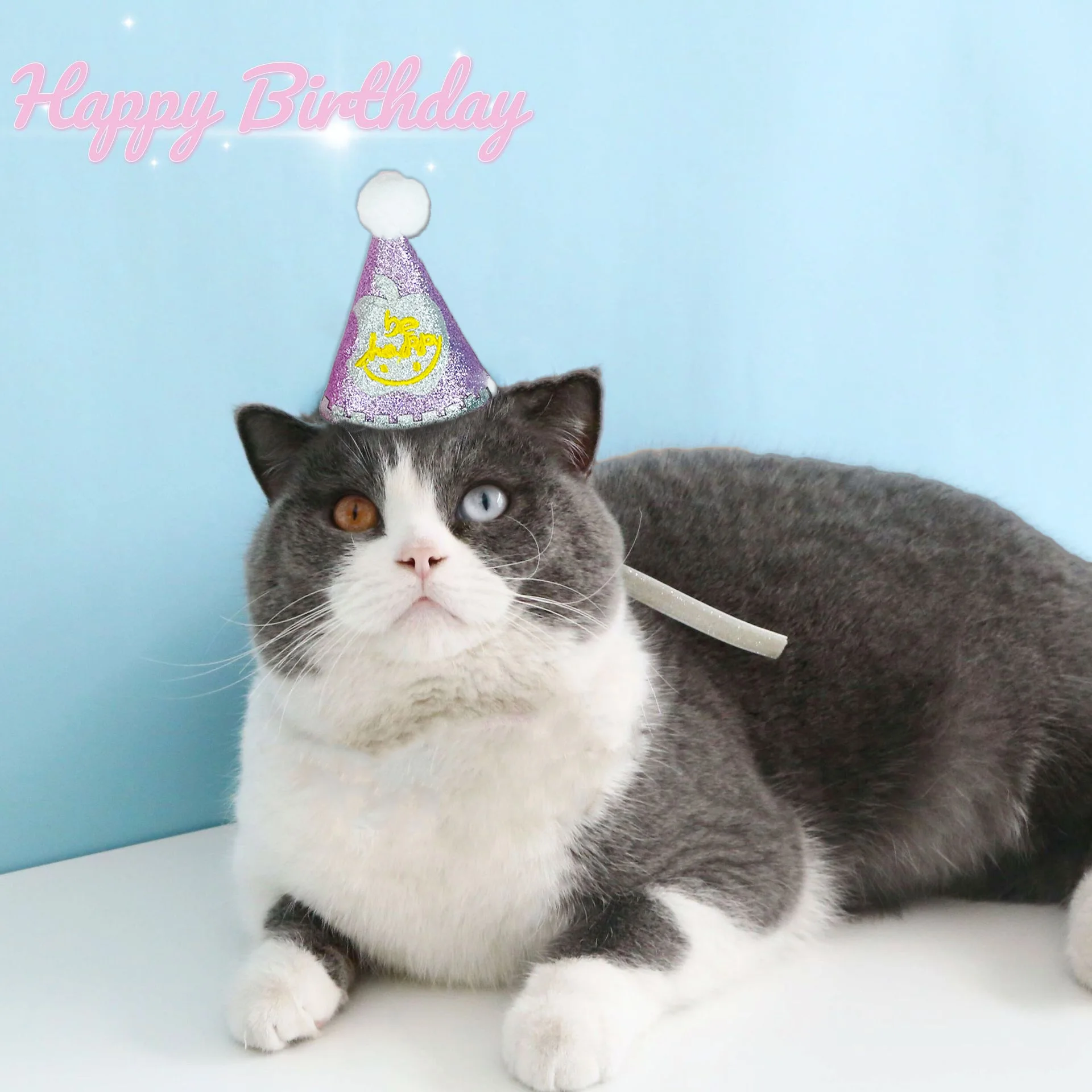 

1 Pc Pet Birthday Party Hat, Apple-patterned Plush Gitter Decorative Hat, Cat & Dog Birthday Gift Decoration, Clothing Matching