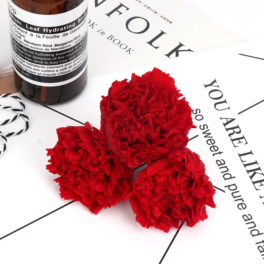 

8 Eternal Carnation Dried Flowers 4-5Cm Red Romantic Gift for Birthday Valentines Mothers Day Eternal Flower Romantic Flower