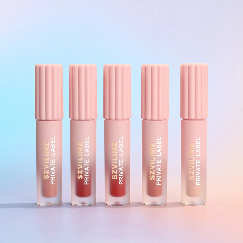 

Custom Logo Lip Gloss Pigment Long Lasting Waterproof Moisture Dual-texture Private Label Makeup Frosted Gradient Pink Tube