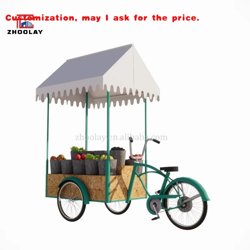 

custom.Food Cart Bicycles Mobile Food Cart Design Bike Sales Cart Festival Events Commercial Handcart