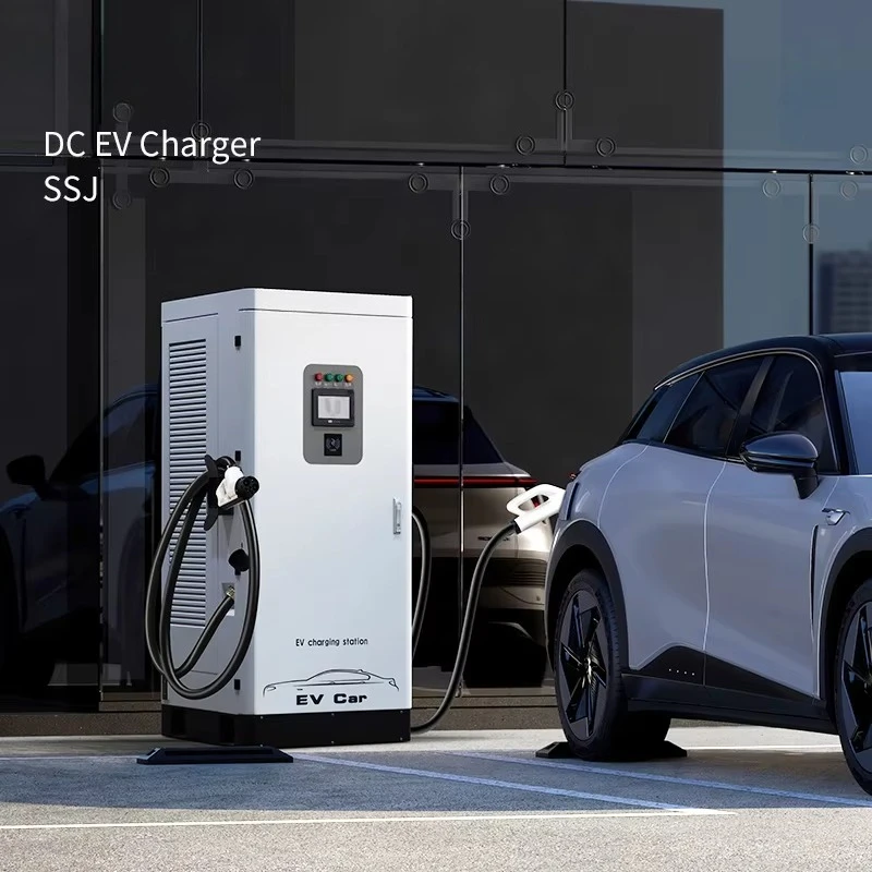 DC Fast EV Charging Station 60kw 120kw 160kw 200kw 240kw Rapid Charging Floor-Mounted Liquid Cooling OCPP1.6 CCS2/CHAdeMO