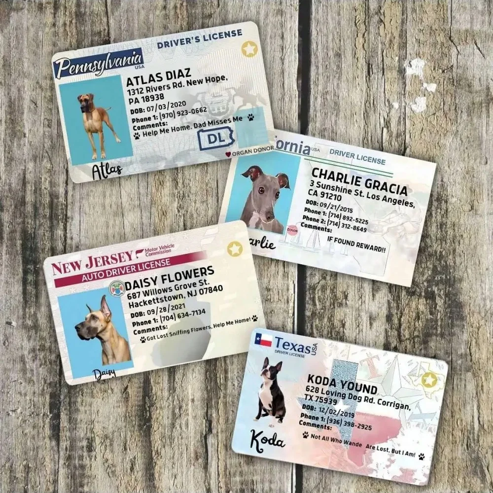 Custom Pet Dog Card, Pet Card, Personalized pet ID Card, Pet Birthday Gift, Perfect Wallet Pet Card, Gift for Pet