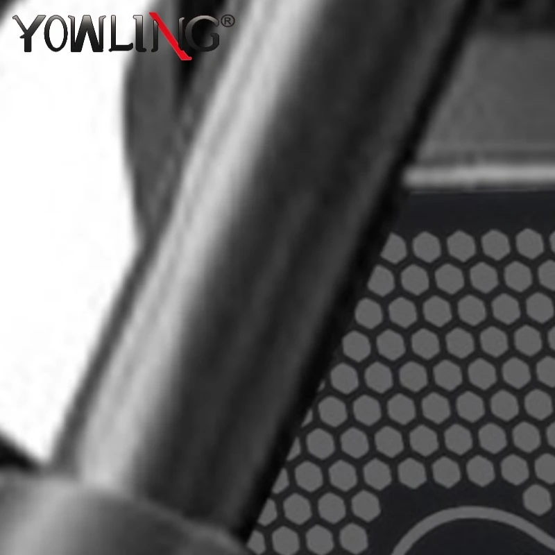 FOR CFMOTO CF MOTO 250 CLC 250 CL-C 2024-2025-2026 Motorcycle Radiator Grille  CLC 250 CL-C 250 Guard Protection Cover Protector