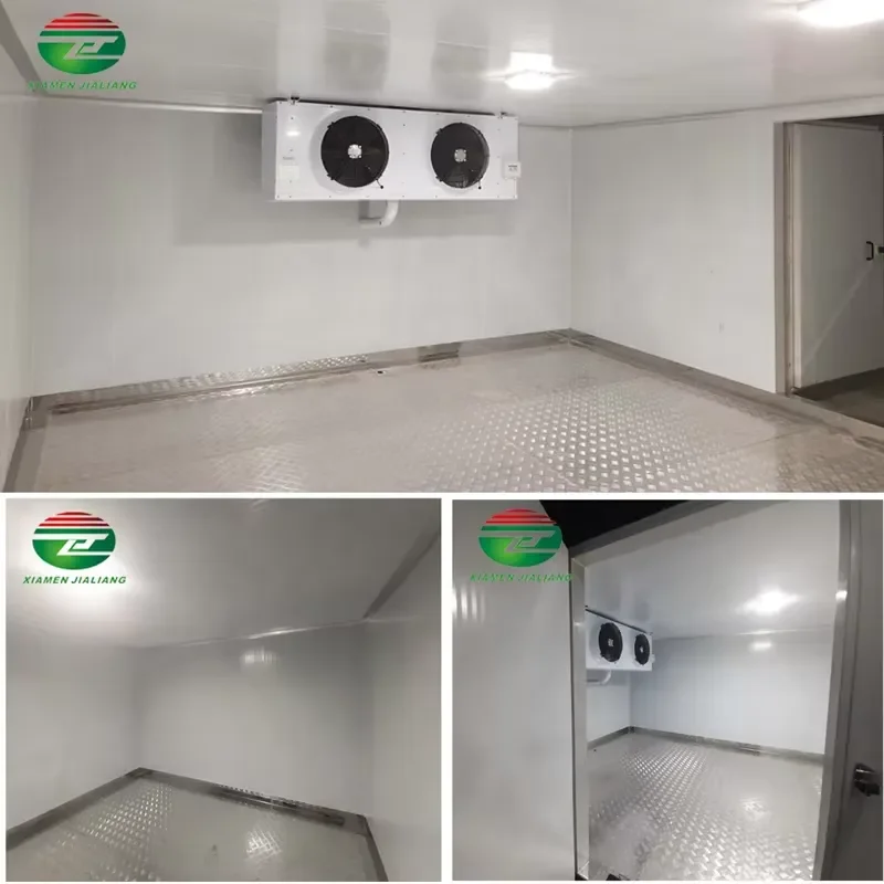 PU Panel Sandwich Steel Blast Cold Room 220V Mobile Home Hotels Food Shop Accurate Temperature Control 100mm/150mm