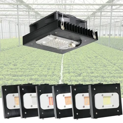 Samsung Quantum-Luz LED de cultivo LM283B +, lámpara Phyto con interruptor de encendido/apagado rojo UV para iluminación de crecimiento de plantas hidropónicas de invernadero, 100W