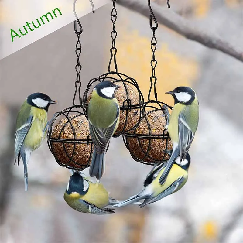 Thumbnail 2 - #7 Compare Squirrel Feeders Before You Buy