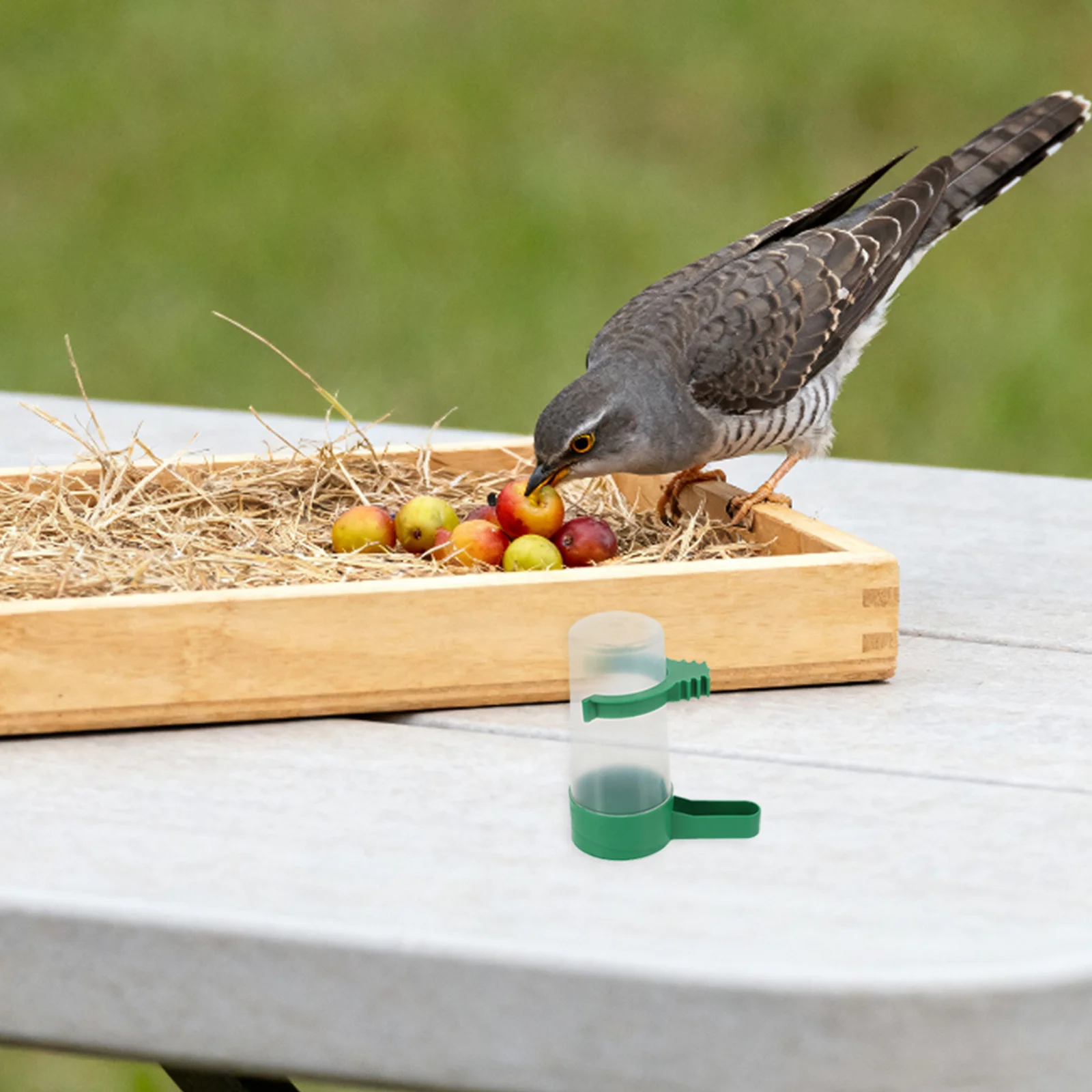 

18Pcs Parakeet Automatic Water Dispenser Spillproof Hydration for Budgies Cockatiels Monitoring Lightweight Hanging