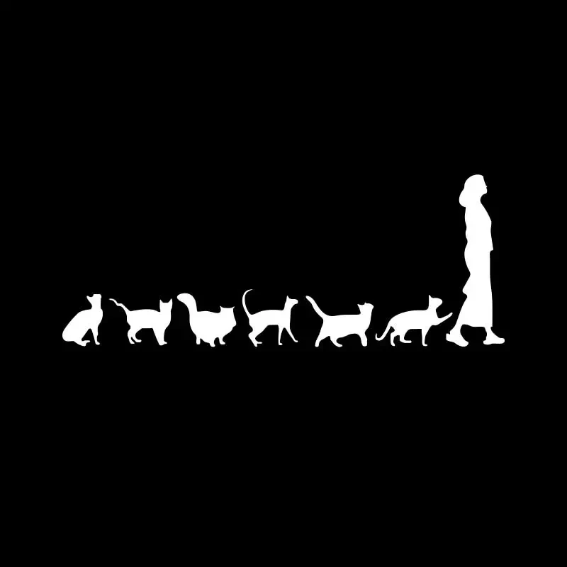 

Lady with Cat Cute Car Sticker - For Window, Motorcycle Bumper & Laptop Decoration - PVC Vinyl Decal
