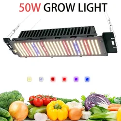 Full Spectrum LED Grow Light para plantas de interior, sem lâmpada regulável, super brilhante, chips Samsung LM281B, AC85-265V, 50W