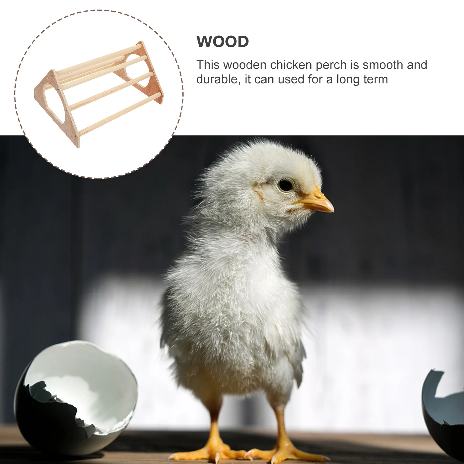 

Wooden Stand Parrot Playstand Portable Branch Perch Bird Standing