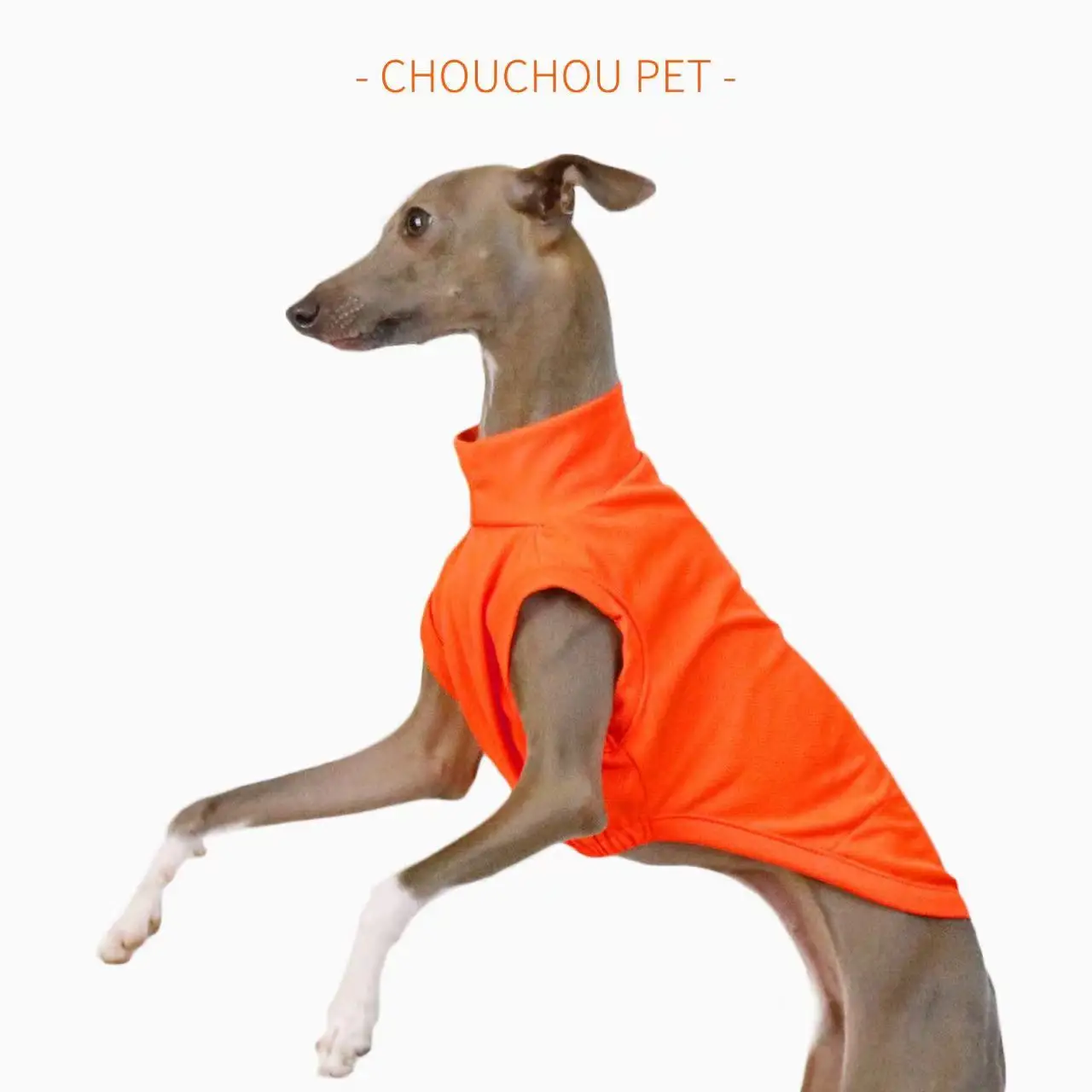 Summer Breathable Dog Vest Outdoor Sun Protection Pet Clothes Cool and Comfortable Iggy Whippet Small and Medium Dog Clothes