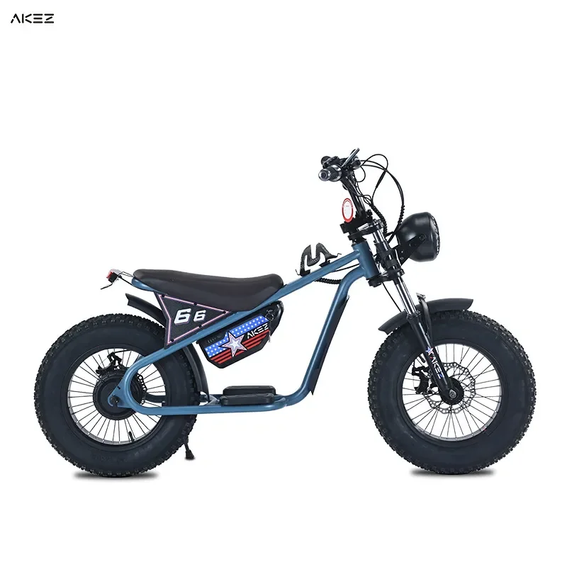 AKEZ 16 Inch Electric Bicycle High Carbon Steel High Speed High Power Electric Motorcycle