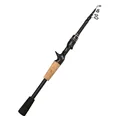 Casting Rod