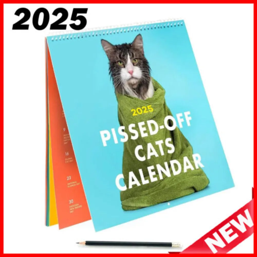 Pissed Off Cats Calendar 2025 Funny Wall Calendar, Hanging OFFICE HOME