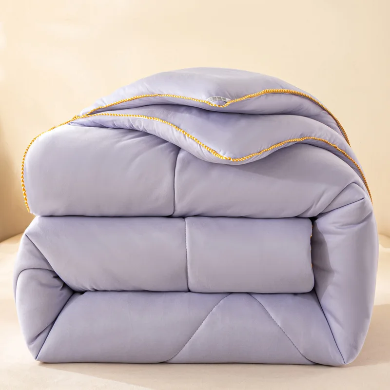 Household Thick Warm Comforter All Season Queen King Twin Hypoallergenic Soft Skin Friendly Dorm Room Student Home Winter Quilt