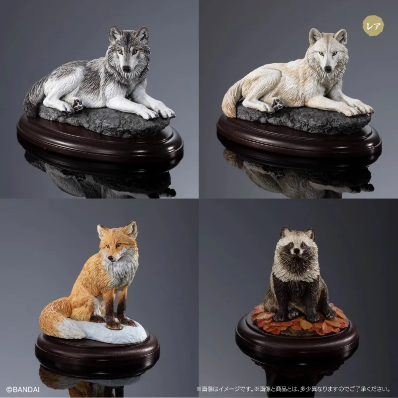 Original Bandai Gashapon Wolf Fox Raccoon Dog Qversion Mini Animal Action Figure Model Toys Gifts Collection Ornament